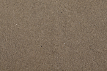 The yellow beach sand of Crete