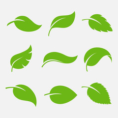 Naklejka premium Leaves icon vector set