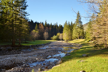 Ruiss&egrave;lement d'automne (Chartreuse / Savoie)