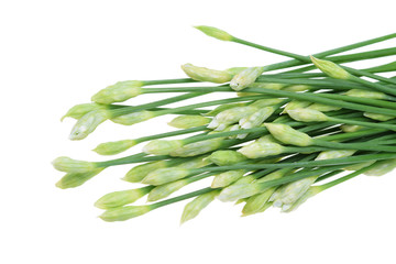 Chinese chives isolated on white background, selective focus