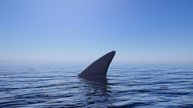 3D rendering of shark fin above water, with blue sky background.