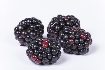 Brombeere Freisteller