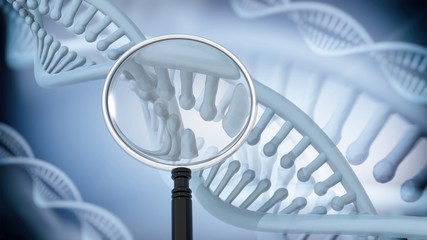 DNA Double Helix with magnifying glass. 3D rendering