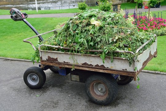 Large gardening trailer with green waste
