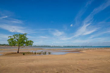 Darwin city and beach