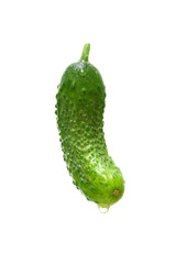 fresh cucumber isolated on white background