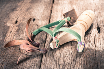 Wooden catapult slingshot with seed plant on wooden background