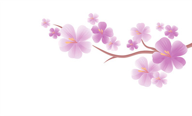 Fototapeta na wymiar Branch of sakura with Purple flowers isolated on White color background. Cherry blossom branch. Vector 