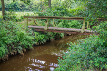 Fototapeta na wymiar wooden bridge river distance view