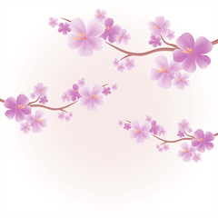 Apple tree flowers. Branches of sakura with Purple flowers isolated on Light Pink Yellow color background. Cherry blossom branches. Vector