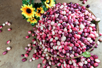 Carunda or Karonda fruit