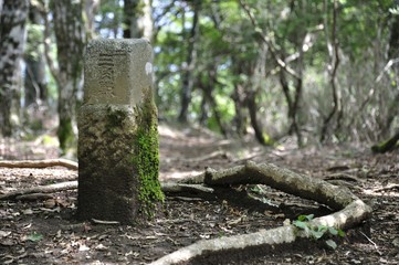 畦ヶ丸の山頂