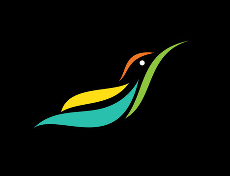 Vector image of an humming bird design on black background,  Vec