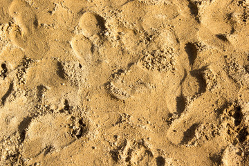 background of partly compacted sand with footprints