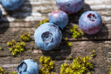 Freshly picked blueberries on rustic table/board.  