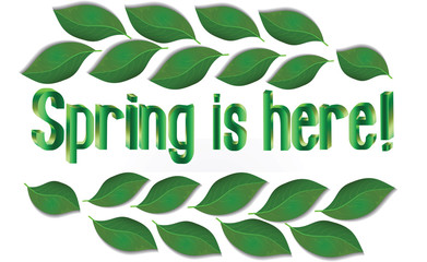 Spring Text with leaves Vector
