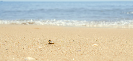The Black Sea shore, seaside and beach with golden sands, blue water.
