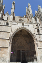 cathedral of palma