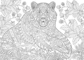 Fototapeta premium Zentangle stylized cartoon bear (grizzly bear) among blackberries or raspberries in woodland. Hand drawn sketch for adult antistress coloring book page with doodle, zentangle, floral design elements.