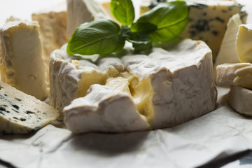 Cheese assorted on a table background. Variety sorts for appetizing, gourmet, delicious snacks. Traditional French dish for wine on lunch and dinner closeup. Camembert, Roquefort.
