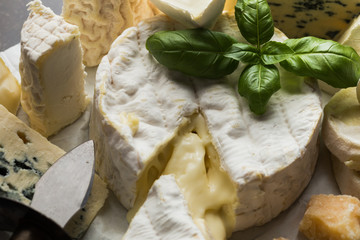 Cheese assorted on a table background. Variety sorts for appetizing, gourmet, delicious snacks. Traditional French dish for wine on lunch and dinner closeup. Camembert, Roquefort.
