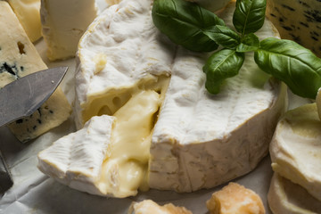 Cheese assorted on a table background. Variety sorts for appetizing, gourmet, delicious snacks. Traditional French dish for wine on lunch and dinner closeup. Camembert, Roquefort.
