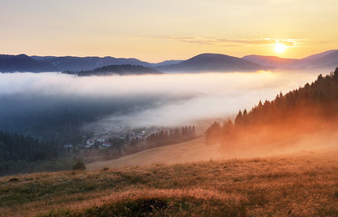 Misty sunrise with sun and forest, Mlynky, Slovakia