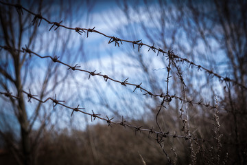 barbed wire border