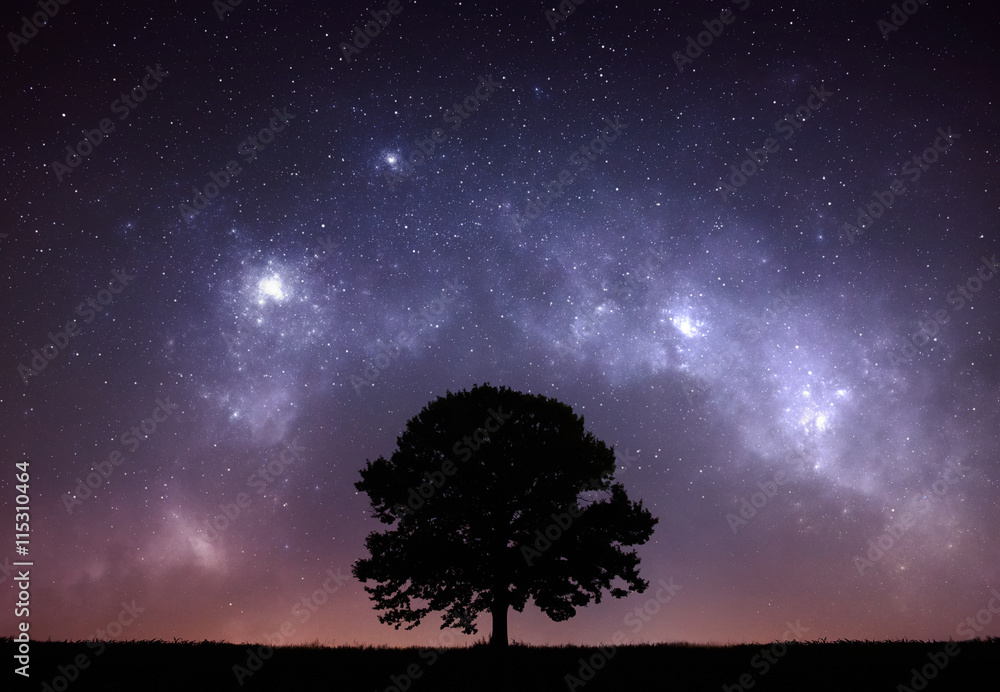 Wall mural night sky mountain tree landscape