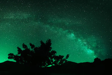 Fototapeta na wymiar starry sky over the countryside