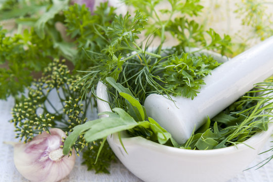 Fresh dill, parsley, arugula in the pestle and garlic on the table. Herbs and spices on wooden board and white towel.
