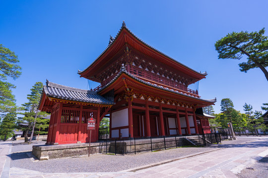 京都　妙心寺　三門