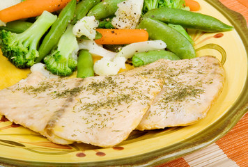 Salmon and Vegetables Plate – A plate of grilled salmon filets and fresh vegetables, including broccoli, snow peas, carrots, and cauliflower.