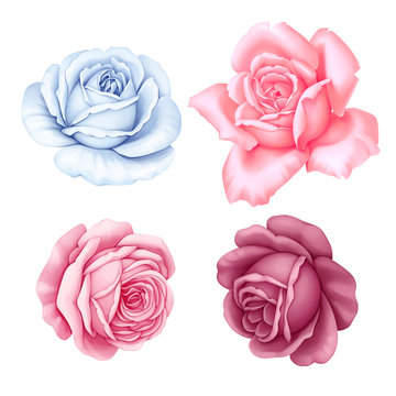 Floral set of pink, red, blue white vintage rose flowers  isolated on white background. Watercolor imitation illustration.