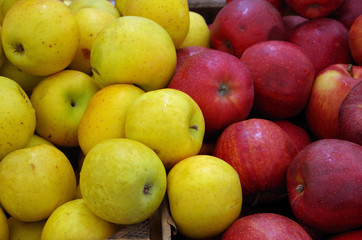 Yellow and red apples mixing in crates at market place