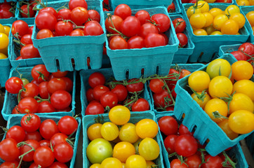 Red and yellow cherry tomatoes in blue containers on display