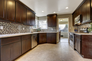 Modern kitchen interior with dark brown storage cabinets