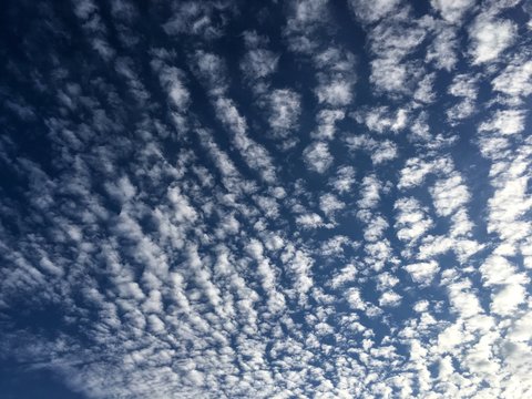 Wundersch&ouml;ne Sch&auml;fchenwolken