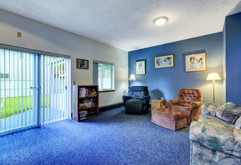Blue family room interior of classic American house. View of the back yard.