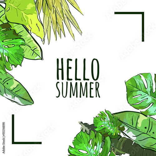 Vector Square Frame With Hand Drawn Tropical Palm Tree Leaves Summer Nature Background Green Vector Square Frame With Hand Drawn Tropical Palm Tree Leaves Summer Nature Background Green