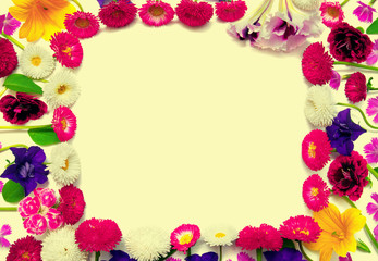 Flowers carnations, marguerite, petunias, daisies