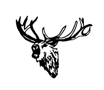 Hirsch deer design