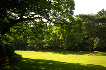 Pelouses du jardin du Luxembourg à Paris en été, France