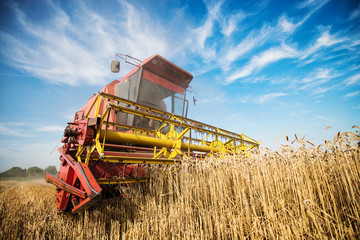 Close up of a harvester cropping the field. - obrazy, fototapety, plakaty