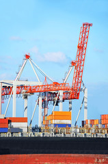 Cargo crane and ship