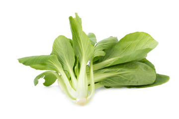 Pok Choi on white background