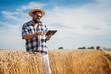 Naklejka na ściany i meble Worker on a crop field holding a tablet.