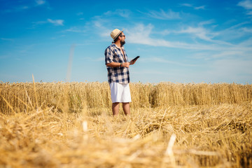 Naklejka na ściany i meble Man on a wheat field holding a tablet, looking aside.