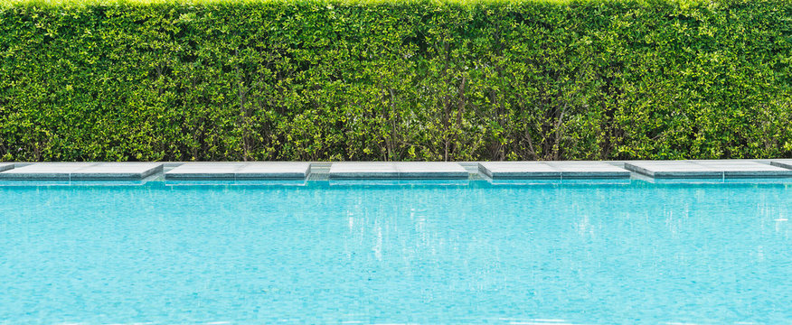 Beautiful luxury swimming pool with palm tree