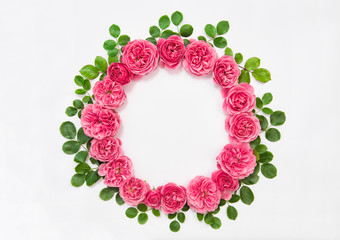 Roses with green leaves isolated pink flower head wreath